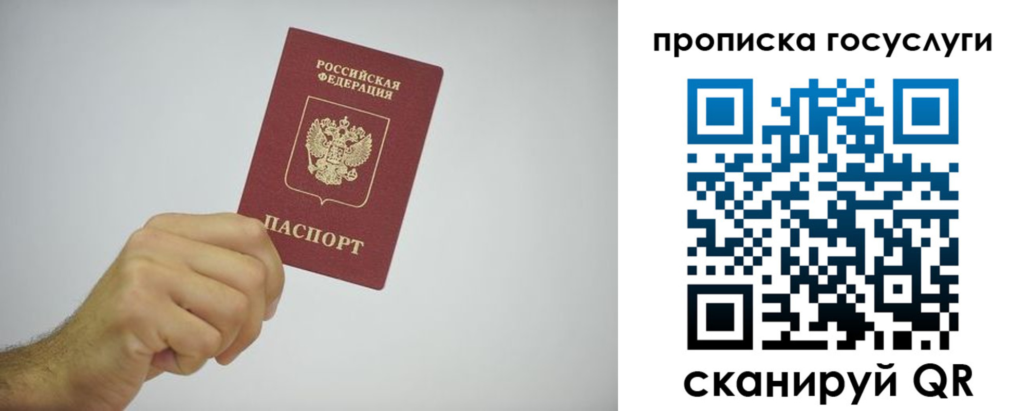 прописка законно в Венёве